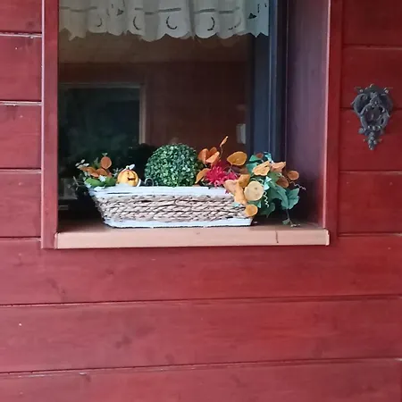 V Lískách Lisky